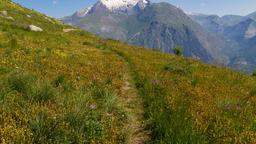 Ξενοδοχεία στην πόλη Les Deux-Alpes