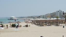 Senigallia: Κατάλογος ξενοδοχείων