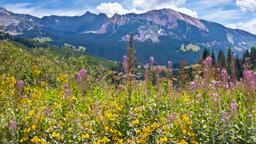 Crested Butte: Κατάλογος ξενοδοχείων