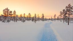 Lapland - Ενοικιαζόμενα για διακοπές