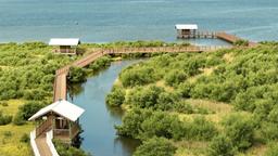 South Padre Island: Κατάλογος ξενοδοχείων
