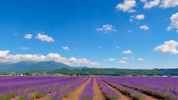 Furano: Κατάλογος ξενοδοχείων