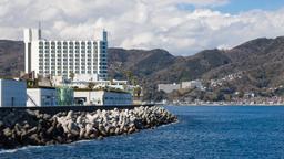Ξενοδοχεία στην πόλη Izu