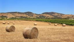 Tanunda: Κατάλογος ξενοδοχείων