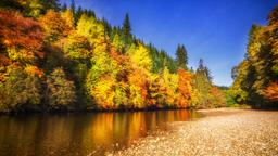Ξενοδοχεία στην πόλη Pitlochry