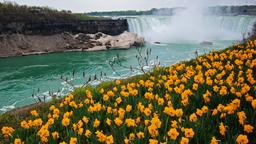 Niagara Falls: Κατάλογος ξενοδοχείων
