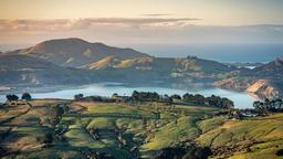 Ξενοδοχεία κοντά στο Dunedin