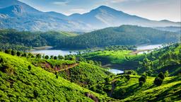 Ξενοδοχεία στην πόλη Munnar