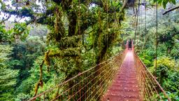 Monteverde: Κατάλογος ξενοδοχείων