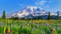 Mount Rainier National Park - Ενοικιαζόμενα για διακοπές