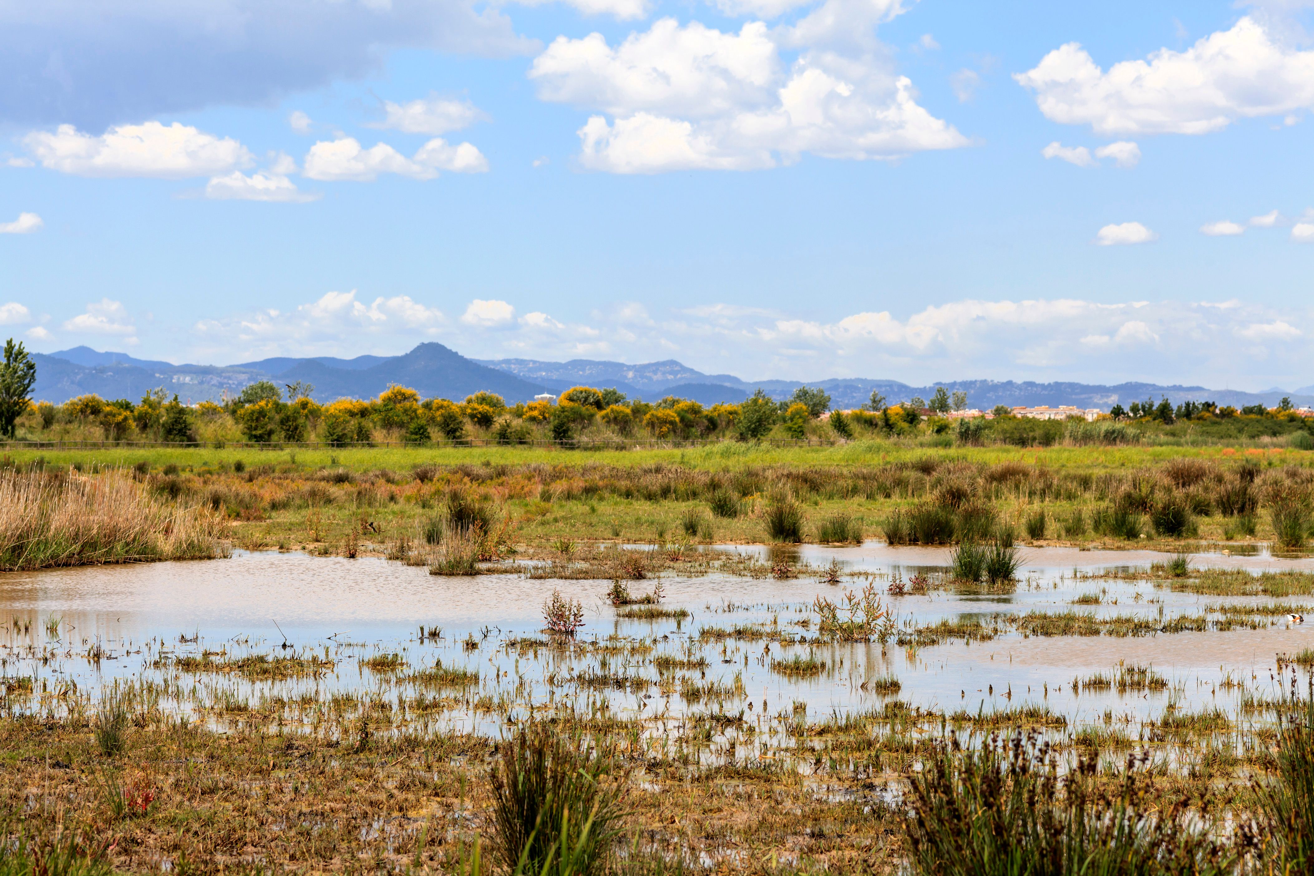 El Prat de Llobregat - &Epsilon;&nu;&omicron;&iota;&kappa;ί&alpha;&sigma;&eta; &alpha;&upsilon;&tau;&omicron;&kappa;&iota;&nu;ή&tau;&omicron;&upsilon;