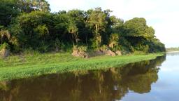 Amazonas - Ενοικιαζόμενα για διακοπές