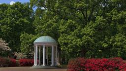 Chapel Hill: Κατάλογος ξενοδοχείων
