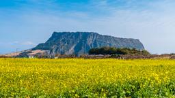 Ξενοδοχεία κοντά στο Jeju αεροδρόμιο