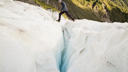Franz Josef Glacier - Ξενοδοχεία στο Westcoast Wildlife Centre
