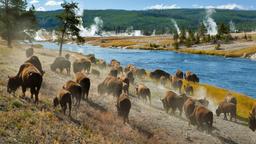 Yellowstone National Park - Ενοικιαζόμενα για διακοπές