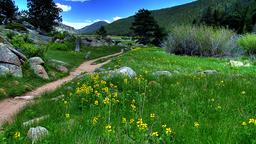 Rocky Mountain National Park - Ενοικιαζόμενα για διακοπές