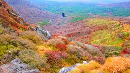 Ξενοδοχεία στην πόλη Jeju-do