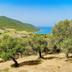 Θέα στην ύπαιθρο