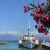 Θέα στην ύπαιθρο