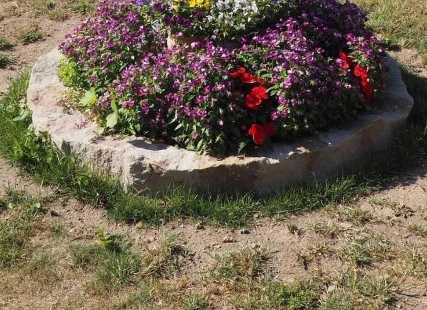 Θέα στην ύπαιθρο Φωτογραφία