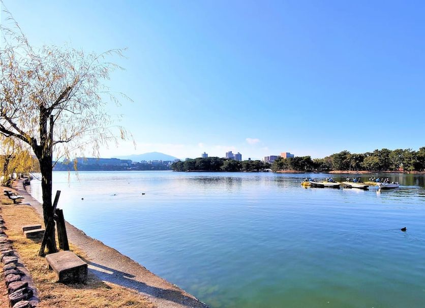 Θέα στην ύπαιθρο Φωτογραφία