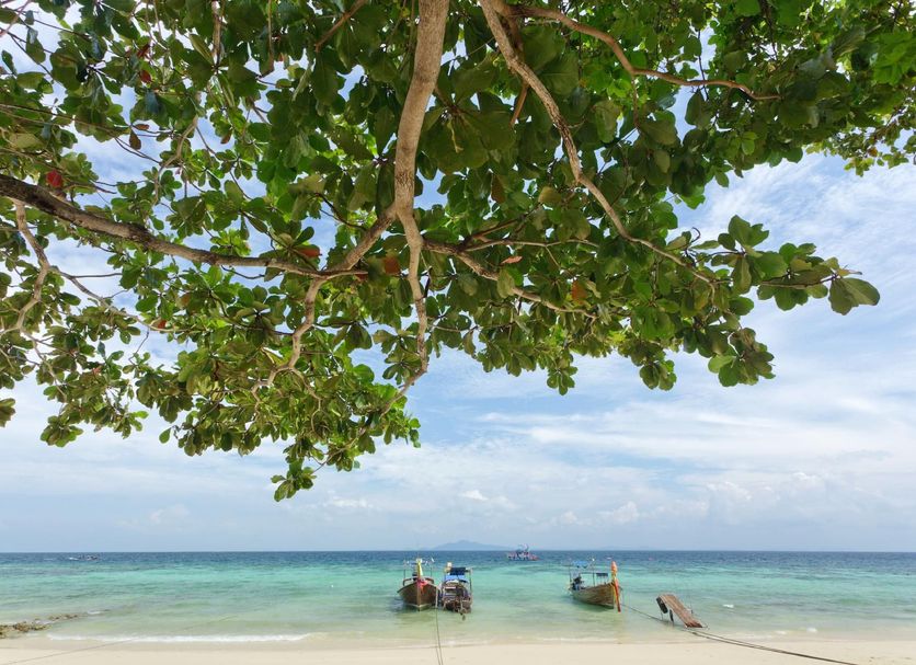 Παραλία Φωτογραφία