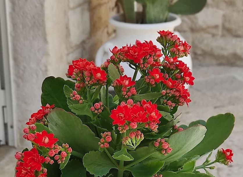 Κτίριο Φωτογραφία