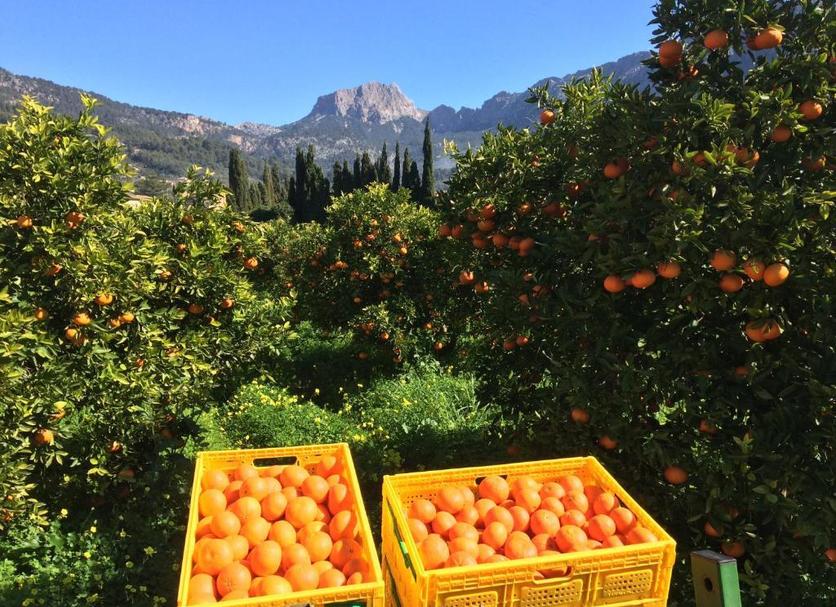 Θέα στην ύπαιθρο Φωτογραφία