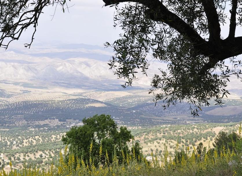Θέα στην ύπαιθρο Φωτογραφία