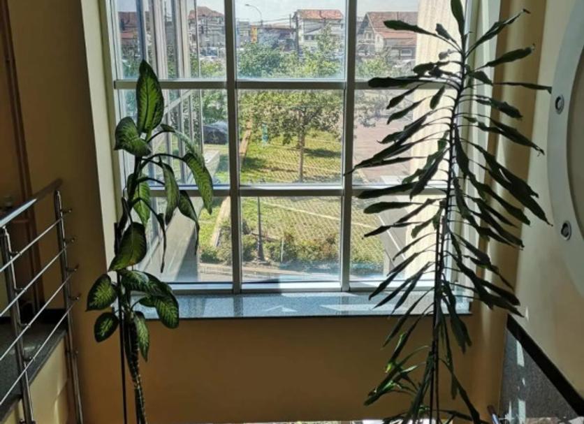 Μπαλκόνι Φωτογραφία