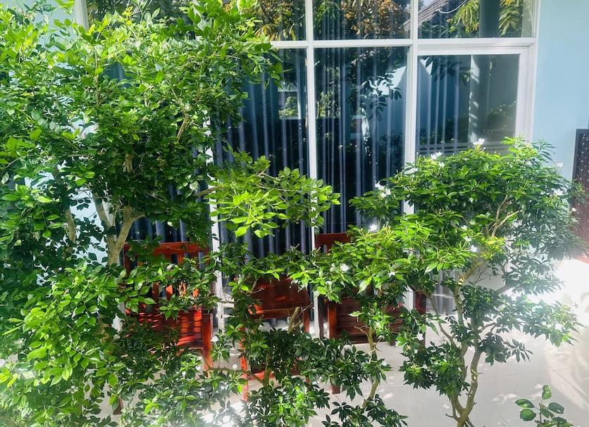 Θέα στην ύπαιθρο Φωτογραφία