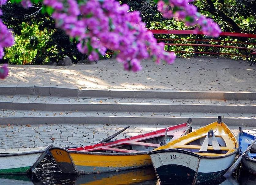 Θέα στην ύπαιθρο Φωτογραφία