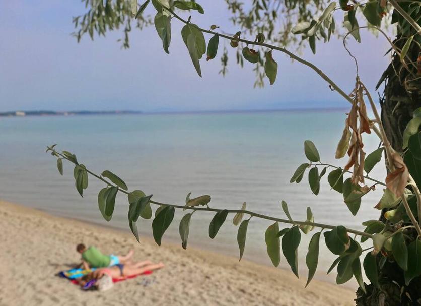 Παραλία Φωτογραφία