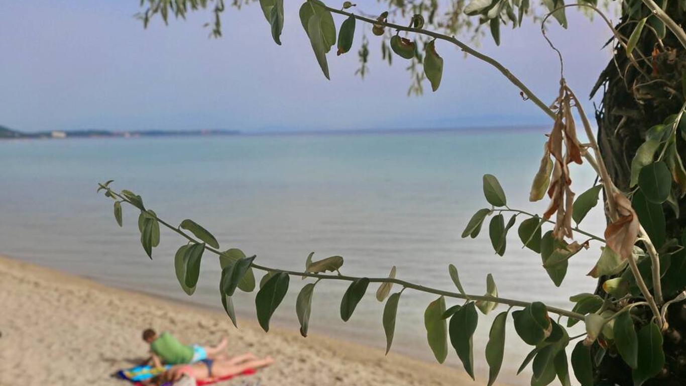 Odysseas Hotel Κασσάνδρα