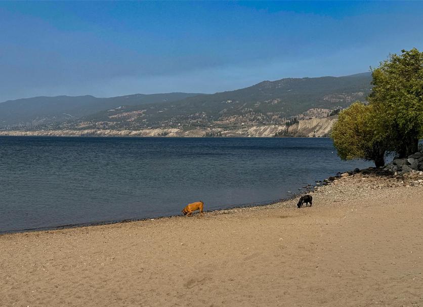 Παραλία Φωτογραφία