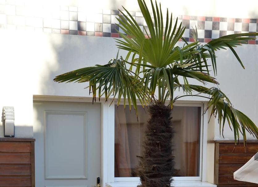 Θέα στην ύπαιθρο Φωτογραφία