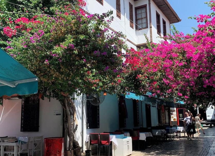 Θέα στην ύπαιθρο Φωτογραφία