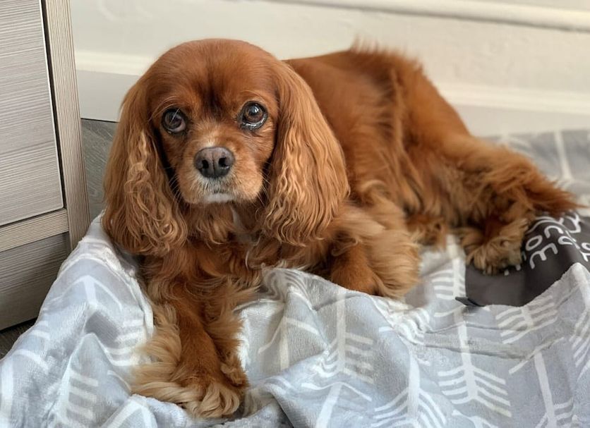 Άλλο Φωτογραφία