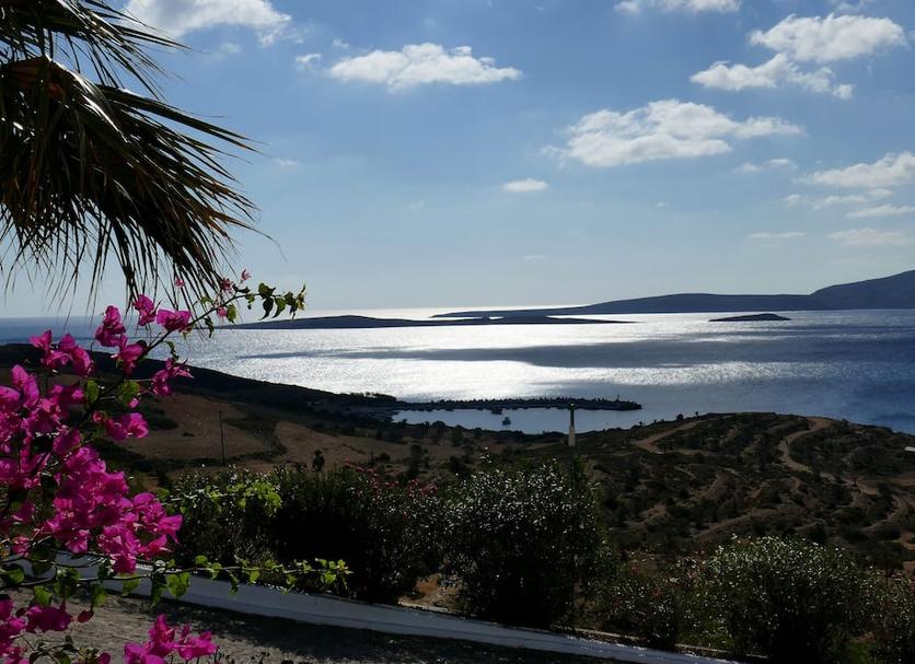 Άλλο Φωτογραφία