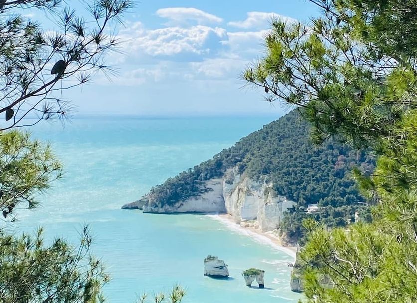 Άλλο Φωτογραφία