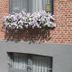 Άλλο