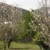 Θέα στην ύπαιθρο