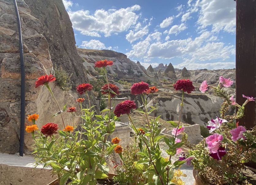 Άλλο Φωτογραφία