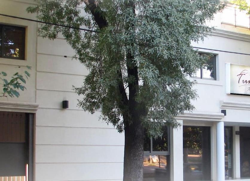 Άλλο Φωτογραφία