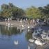 Άλλο
