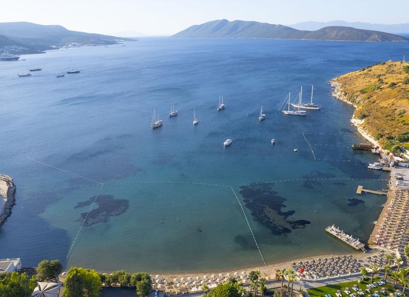 Άλλο Φωτογραφία