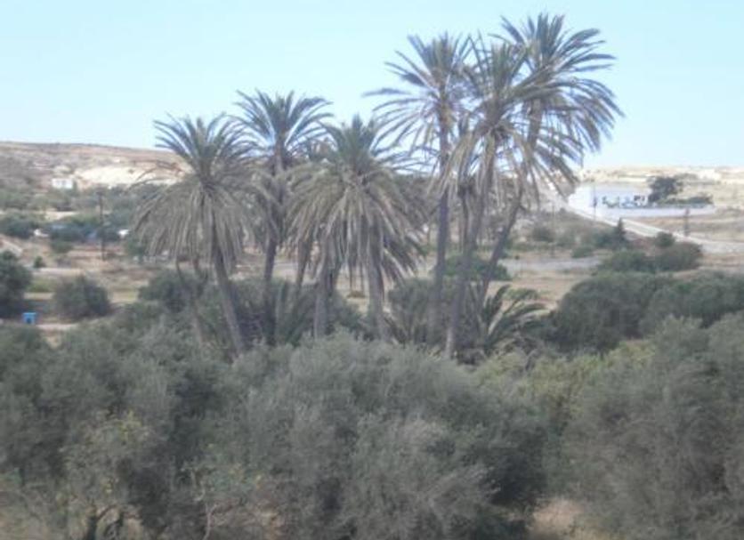 Θέα στην ύπαιθρο Φωτογραφία