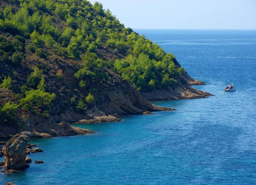 Άλλο Φωτογραφία