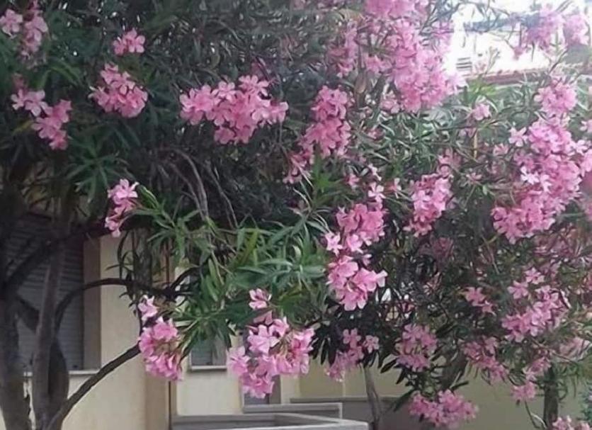 Θέα στην ύπαιθρο Φωτογραφία